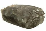 Massive, Double-Terminated Natural Smoky Quartz Crystal - Brazil #219223-5
